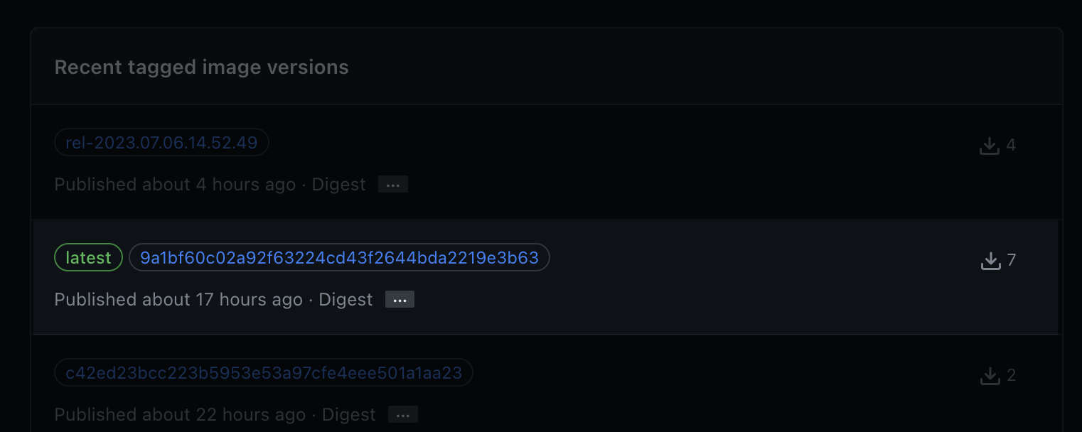 GitHub package directory screenshot