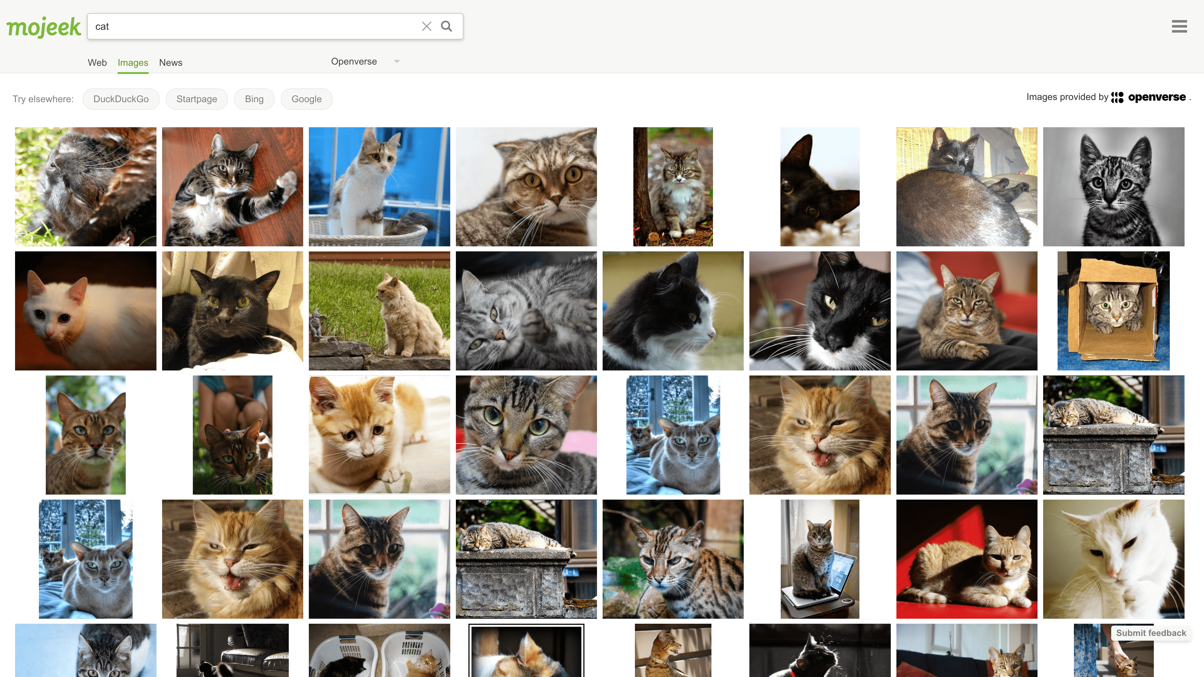 Mojeek image search