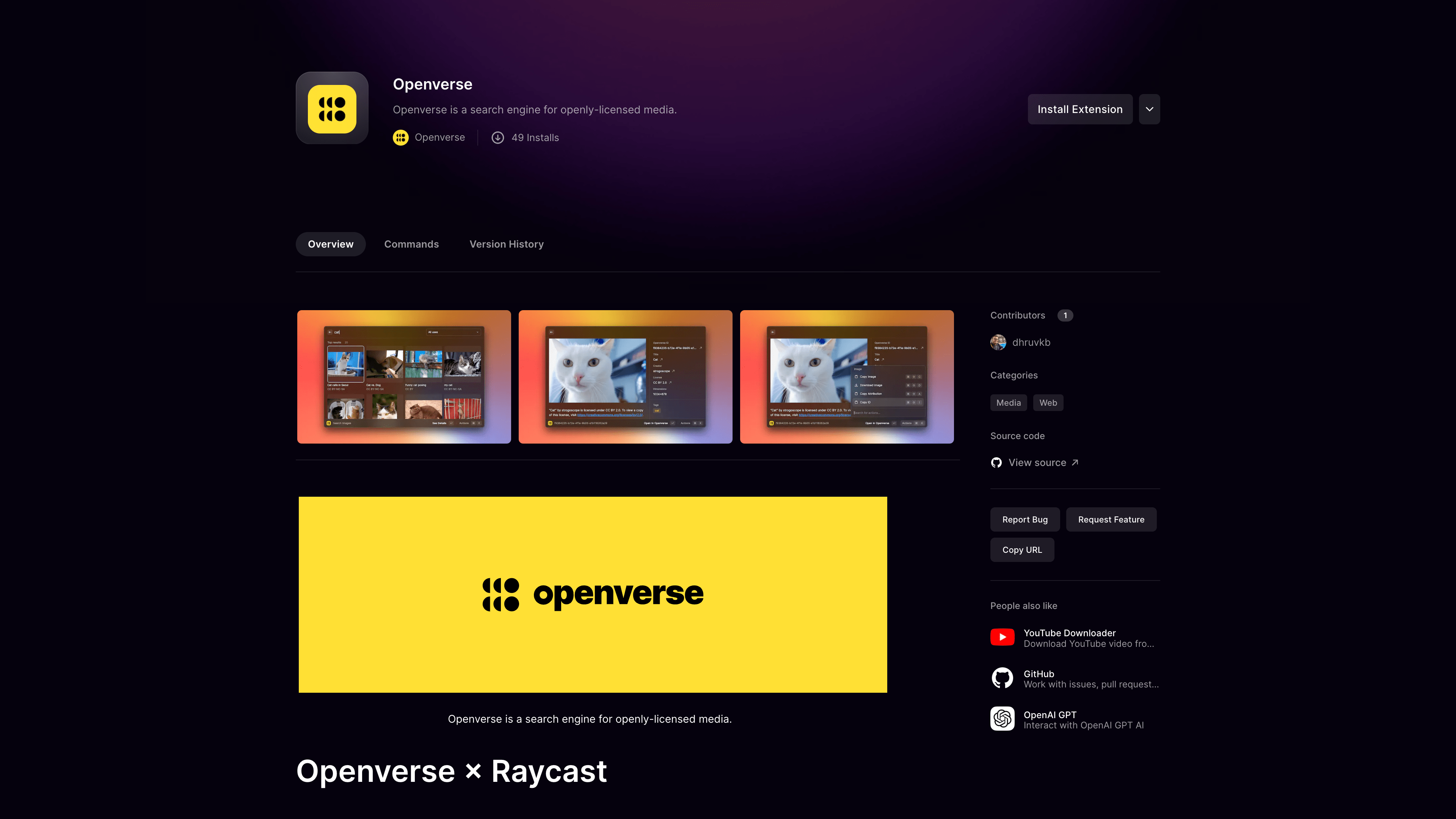 Raycast extension
